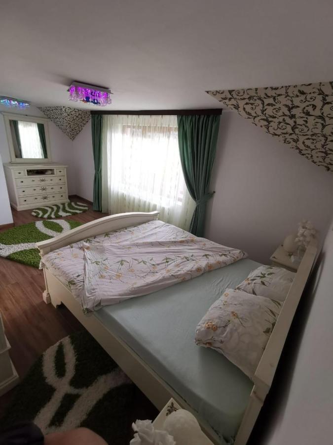 Vila De Vacanta קורטאה דה ארגס מראה חיצוני תמונה