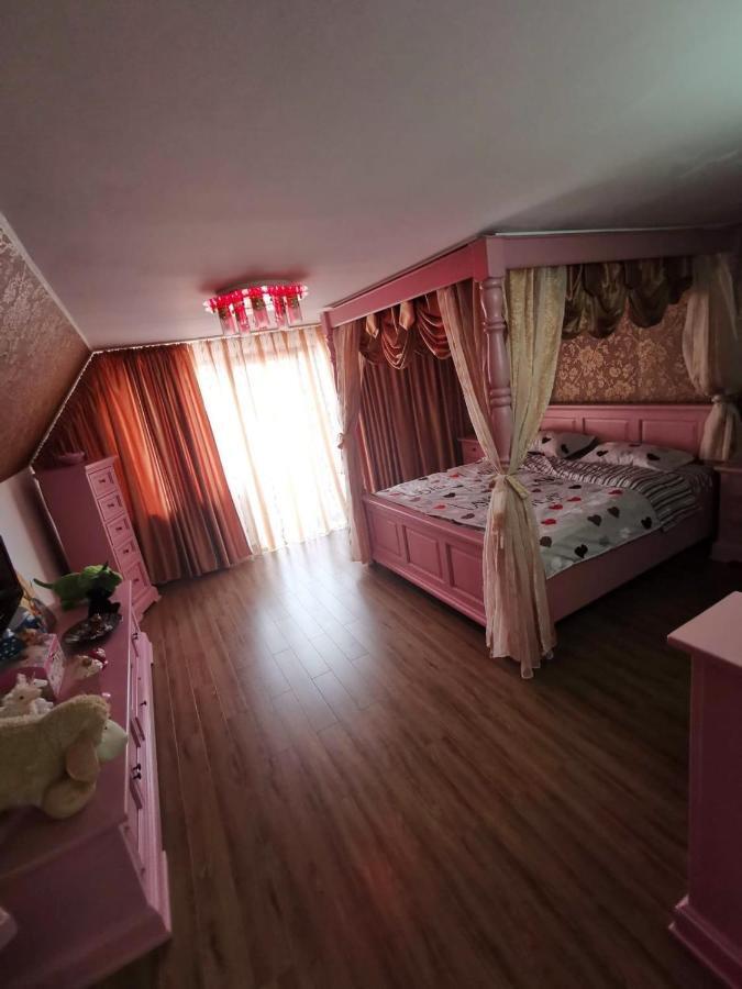 Vila De Vacanta קורטאה דה ארגס מראה חיצוני תמונה